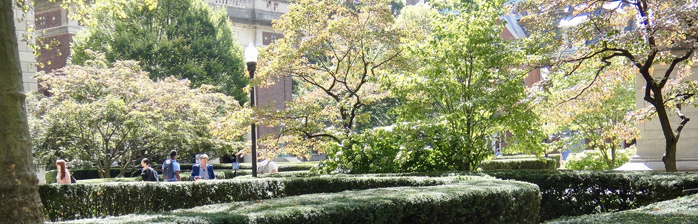 Greenery around Columbia University campus