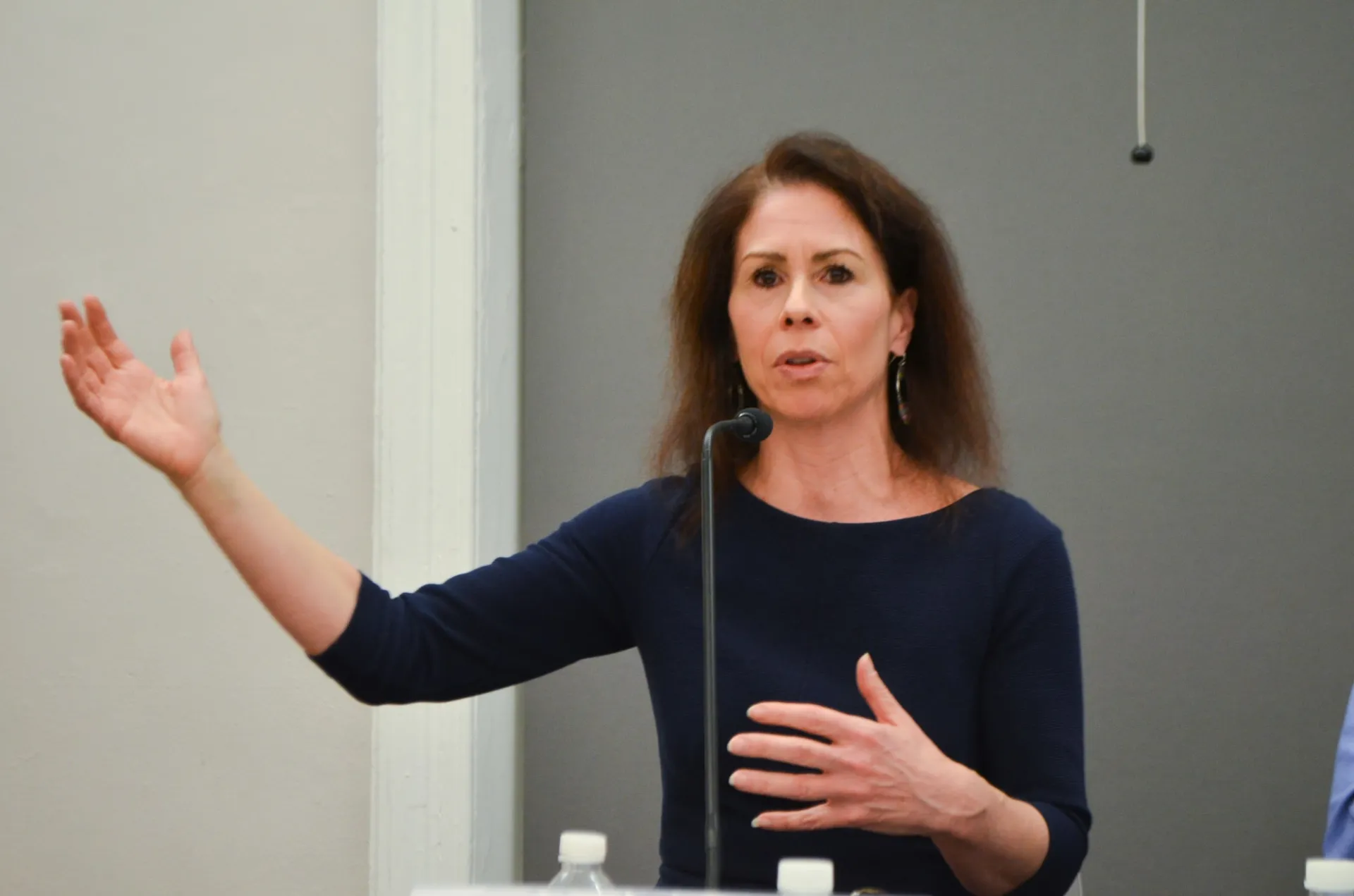 Professor Sheri Berman