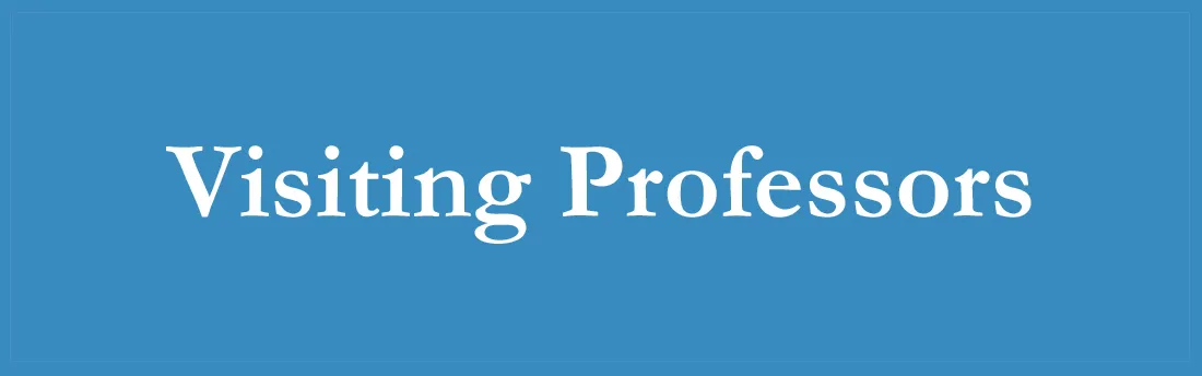 Visiting Professors